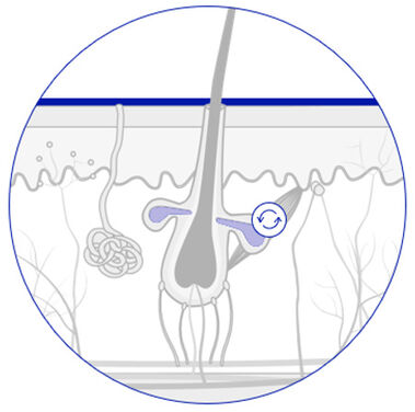 Sebum control graphic